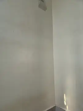 Snapshot of JemaimaPrincess chatting on February 20, 2026, 6:19 am JemaimaPrincess online show from February 20, 2026, 6:19 am