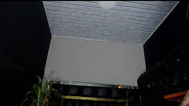 Kitie Petarda online show from October 23, 2025, 8:46 am