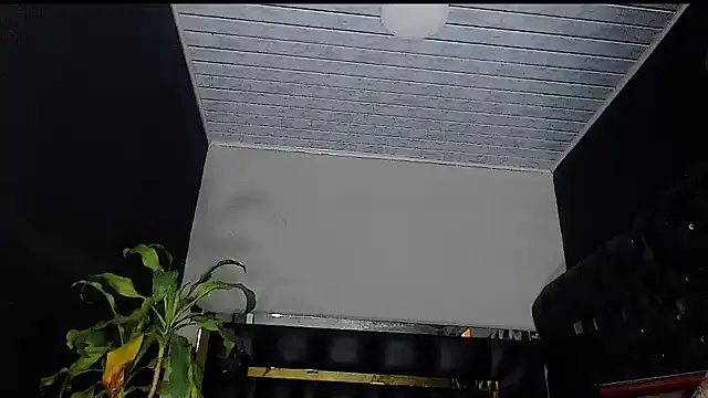 Kitie Petarda online show from October 19, 2025, 10:01 pm