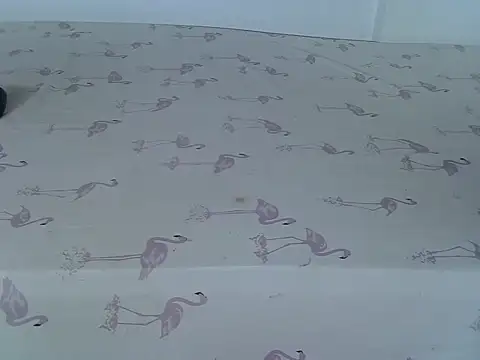 Snapshot of laetitia_ chatting on March 2, 2026, 1:17 am laetitia online show from March 2, 2026, 1:17 am