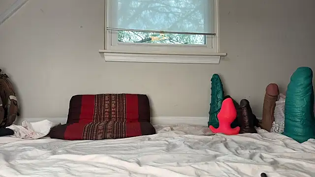 Theonlydreamybull online show from December 3, 2025, 4:50 pm