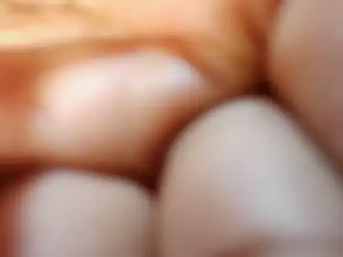 petitev online show from November 15, 2025, 4:27 am