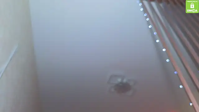 Katy perry  online show from November 27, 2025, 3:51 am