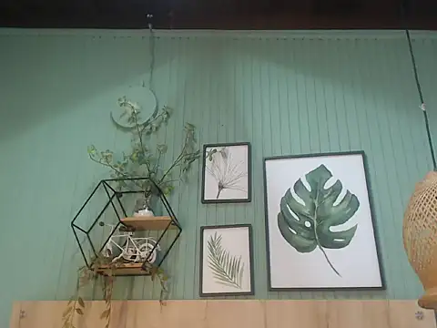 george jonnes online show from November 22, 2025, 9:41 am