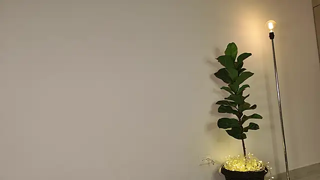 lady ni  online show from December 17, 2025, 12:21 pm