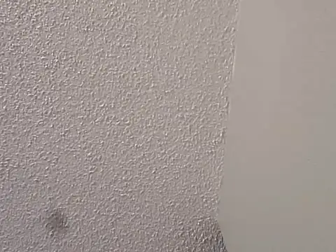 --D-a-D-D-y- online show from March 1, 2025, 3:38 pm