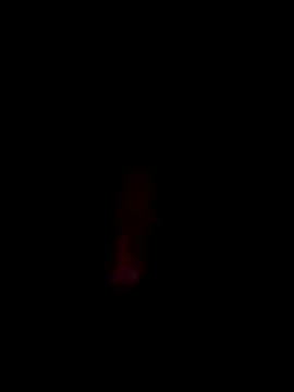 LemonyArcus online show from February 23, 2026, 4:36 am