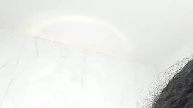 iam lilo online show from February 16, 2025, 2:09 am