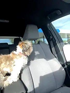 SafeinouterSpace online show from November 26, 2025, 9:37 pm