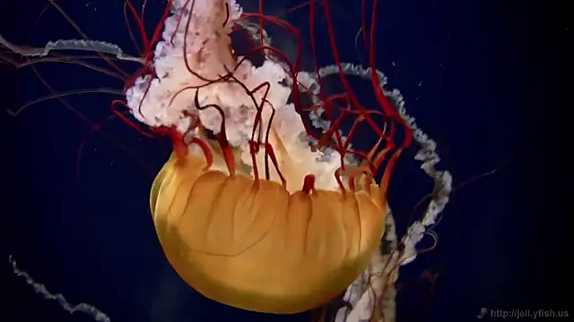 Snapshot of streamy_test12 chatting on January 14, 2026, 3:59 pm streamy test12 online show from January 14, 2026, 3:59 pm