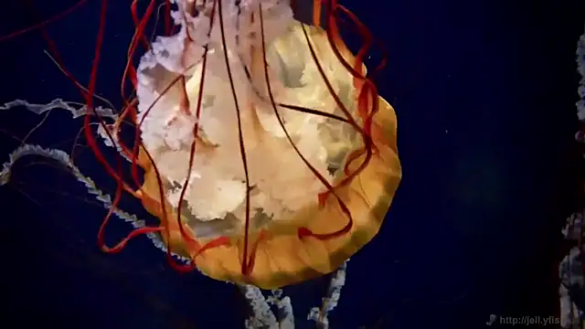 Snapshot of streamy_test12 chatting on October 22, 2025, 8:25 am streamy test12 online show from October 22, 2025, 8:25 am