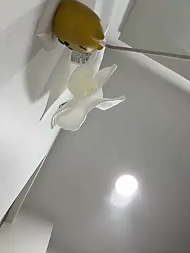 Snapshot of Amber_Rush_ chatting on September 15, 2025, 4:29 pm Amber Rush online show from September 15, 2025, 4:29 pm