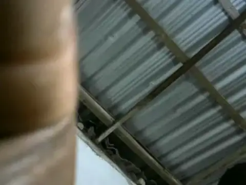 michel sc online show from March 11, 2025, 8:08 am