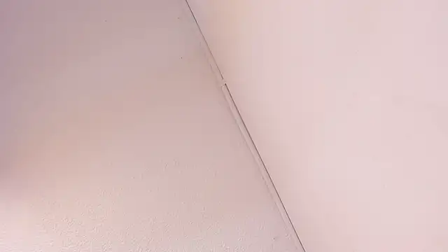 Black Rose2 online show from March 1, 2026, 11:43 am