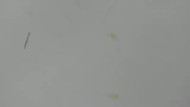 Antonellanospik  online show from March 16, 2025, 3:25 am