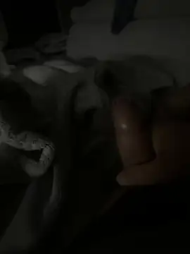 Snapshot of MateoKimiBi chatting on March 12, 2026, 2:28 am MateoKimiBi online show from March 12, 2026, 2:28 am