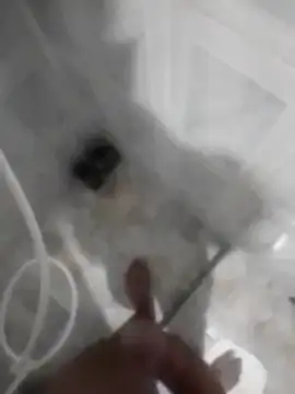 betinhodelas online show from November 30, 2025, 5:08 am