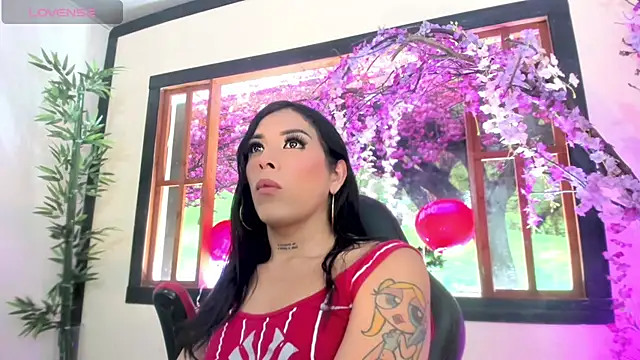 Susan DiSantys online show from February 20, 2025, 1:36 am