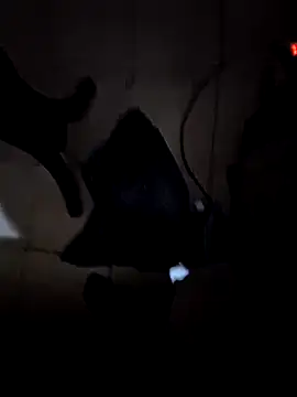 everyoneneeds online show from December 26, 2024, 7:03 am