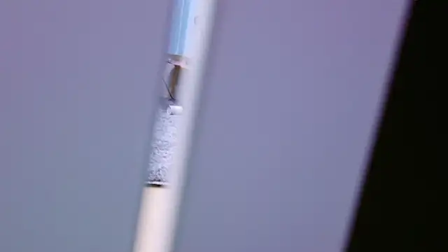 HaruruHappy online show from January 18, 2025, 1:29 pm