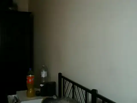 100Tauros online show from November 8, 2025, 12:09 pm