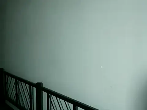 100Tauros online show from November 13, 2025, 10:35 pm