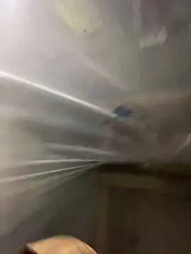 T tina92 online show from January 14, 2026, 1:09 am