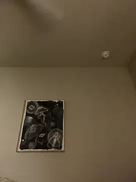 goldbuni online show from January 7, 2026, 12:54 pm