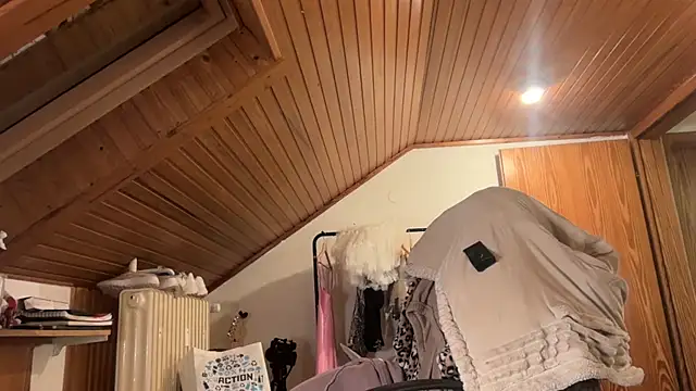 JeSuisUnTapin online show from November 30, 2025, 7:36 pm