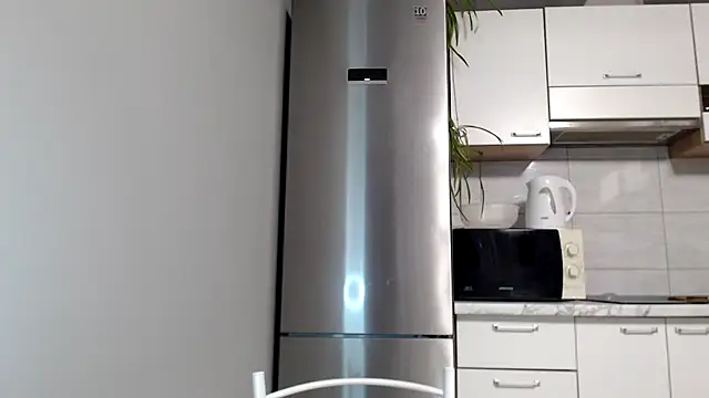 Snapshot of SierraSky_ chatting on March 11, 2025, 6:08 pm SierraSky online show from March 11, 2025, 6:08 pm