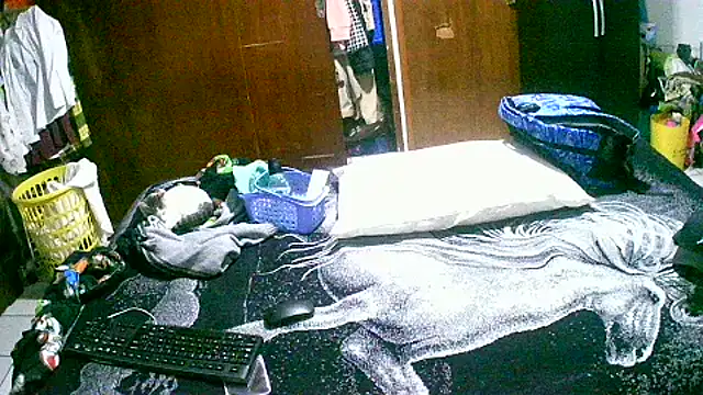 jperezofficial1 online show from September 13, 2025, 9:42 am