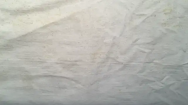 beforeyou69 online show from November 6, 2025, 8:07 am