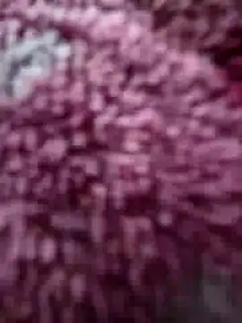 katymojadit online show from February 16, 2026, 12:59 pm