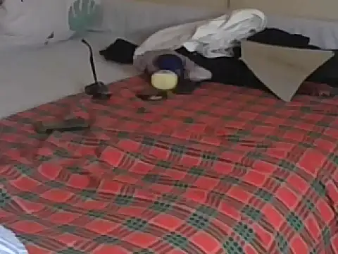 Snapshot of Bootiq chatting on December 19, 2025, 8:22 pm Bootiq online show from December 19, 2025, 8:22 pm