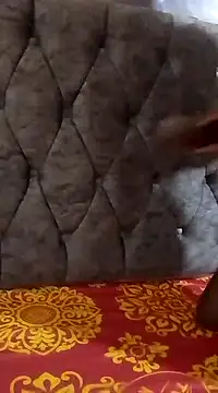 Snapshot of black_queen6 chatting on March 20, 2025, 4:09 pm black queen6 online show from March 20, 2025, 4:09 pm