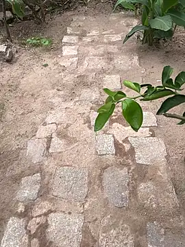 Snapshot of king_cum_ chatting on February 18, 2026, 2:24 pm king cum online show from February 18, 2026, 2:24 pm