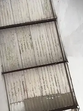 Snapshot of king_cum_ chatting on February 19, 2026, 4:48 pm king cum online show from February 19, 2026, 4:48 pm