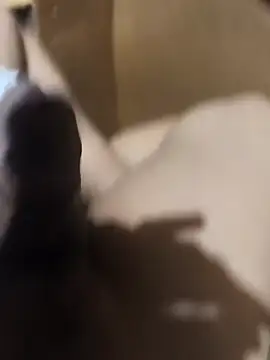 BustedKeeping online show from April 16, 2026, 12:39 pm