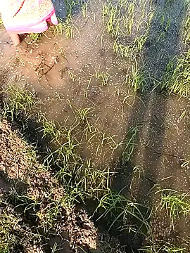 hairipussy2 online show from February 7, 2025, 10:29 am