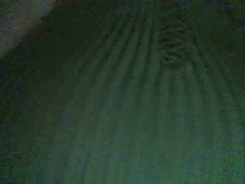 Snapshot of RoxiRedXXX chatting on March 1, 2025, 2:37 am RoxiRedXXX online show from March 1, 2025, 2:37 am