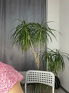 Polli Kiss online show from March 12, 2025, 8:09 pm