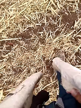 Snapshot of murokkk31 chatting on October 21, 2025, 4:56 am murokkk31 online show from October 21, 2025, 4:56 am