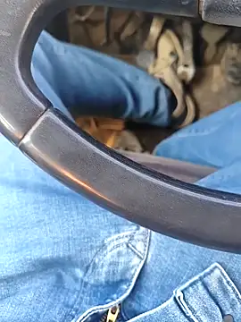 murokkk31 online show from January 8, 2026, 8:31 am