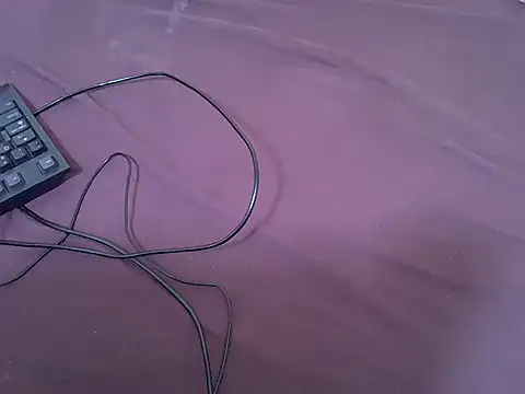 Snapshot of tasty_piee chatting on February 13, 2026, 1:33 pm tasty piee online show from February 13, 2026, 1:33 pm