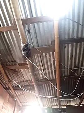 Alanagracia online show from November 15, 2025, 12:20 pm