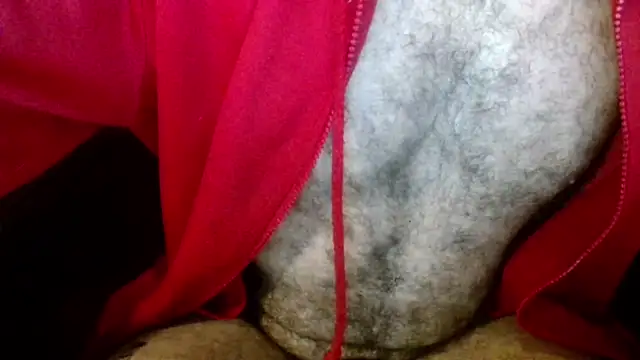 Snapshot of Gigadickman chatting on January 6, 2025, 8:24 am Gigadickman online show from January 6, 2025, 8:24 am