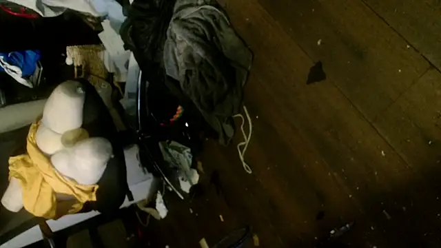 Snapshot of Gigadickman chatting on January 6, 2025, 5:19 am Gigadickman online show from January 6, 2025, 5:19 am