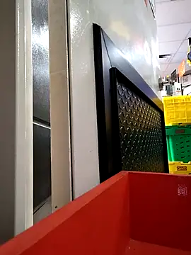 VL25DN26 online show from November 19, 2025, 10:04 am