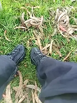 Cuervo maniaco online show from November 14, 2025, 5:16 pm