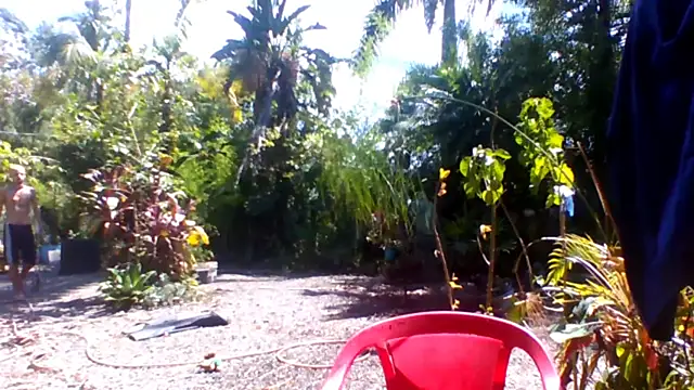 sellvageria online show from December 15, 2025, 5:08 pm